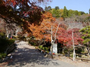 越前かるた 花筐公園